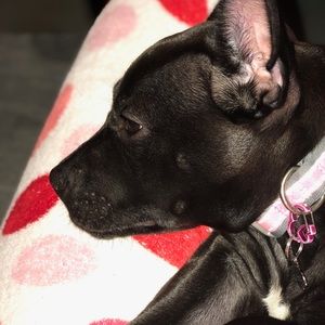 Meet your Posher, Kimberly